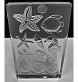 LIFE MARINE 8PCS SILICONE MOLD