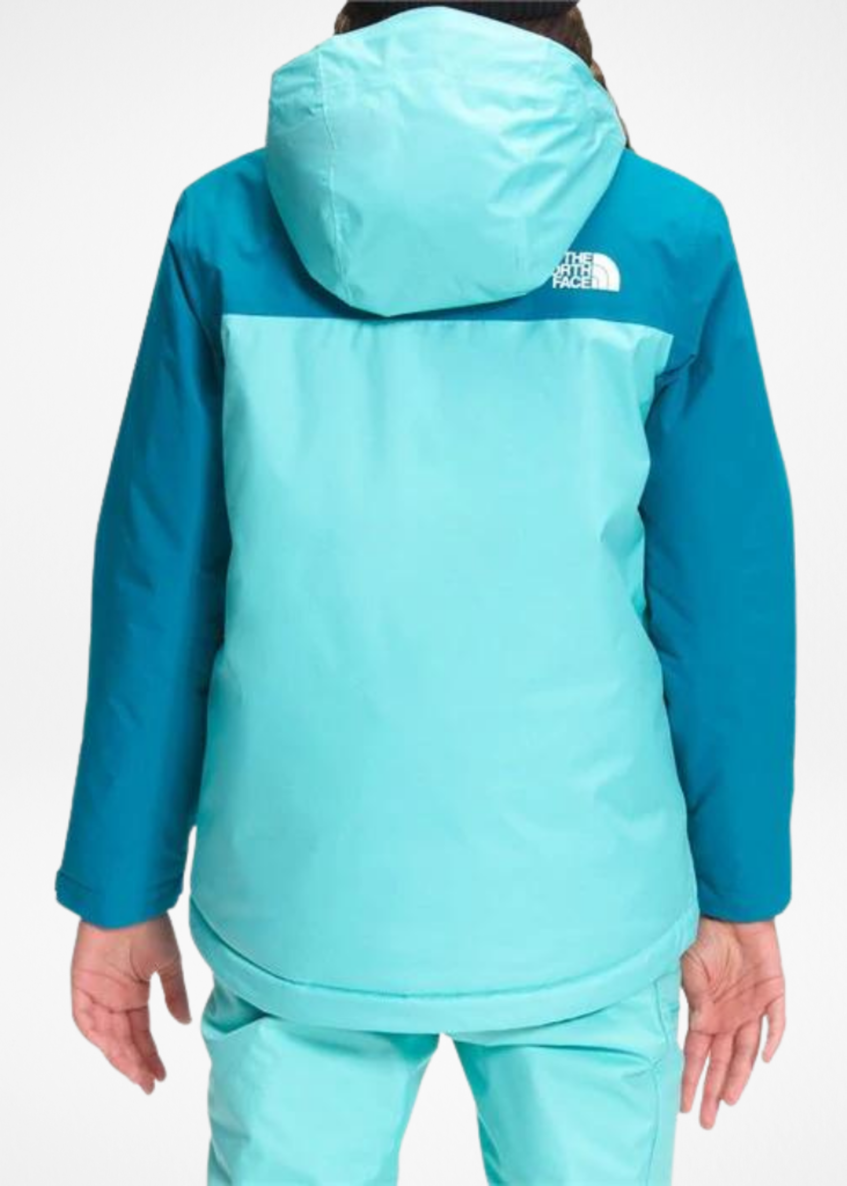 THE NORTH FACE 22 TNF YTH SNOWQUEST PLUS JACKET
