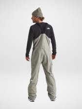 The north face/ free thinker bib ビブパンツ The North Face