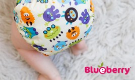 Buy USA - Blueberry Diapers