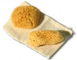 Sea Sponge Tampon Review