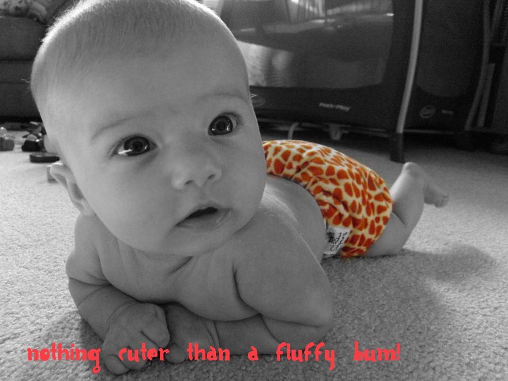 Cloth Diaper Advocacy, Don't be THAT mom!