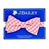 J Bailey Pink Gingham Bow Tie