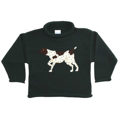 Bailey Boys Forest Pointer Roll Neck Sweater