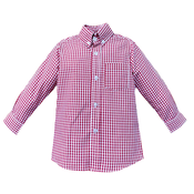 Remember Nguyen Red Gingham Arthur Brother Button Down Shirt