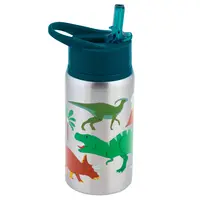 Stainless Steel Water Bottle - Dino