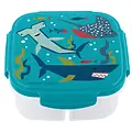 Snack Box with Ice Pack - Shark