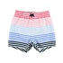 Rugged Butts Ocean Horizon Swim Trunks