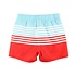 RuffleButts From Sea To Shining Sea Swim Trunks