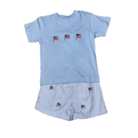 Luigi American Flags T-shirt w/ Shorts