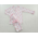 La Luna Ghost Girl Pima SS Pajama Pant Set