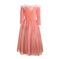 Joy Costumes Princess Briar Rose