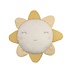 Sunny Day Pillow