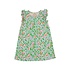 The Beaufort Bonnet Company Natchez and Nectarines Ruehling Ruffle Dress