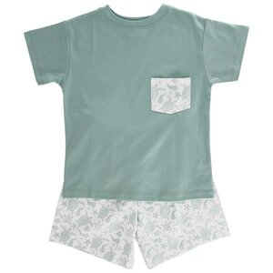 Bailey Boys Turtle Print Knit Boys Short Set