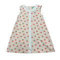 Sage & Lilly Strawberry A-line Dress