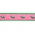 Preston Leather Kelly Whale on Pink, Green Cotton Web Belt w/ Leather Tabs
