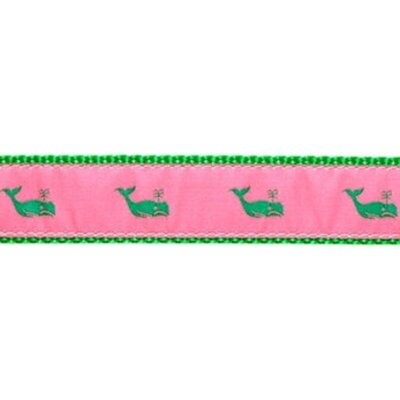 Preston Leather Kelly Whale on Pink, Green Cotton Web Belt w/ Leather Tabs