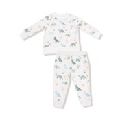 Angel Dear Soft Dinos French Terry Green Raglan Sweatshirt/Jogger Set