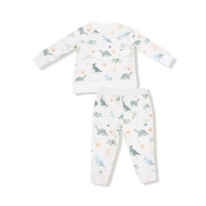 Angel Dear Soft Dinos French Terry Green Raglan Sweatshirt/Jogger Set