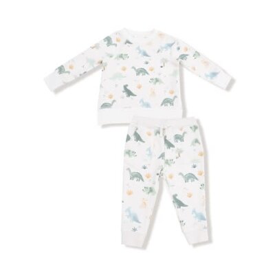 Angel Dear Soft Dinos French Terry Green Raglan Sweatshirt/Jogger Set