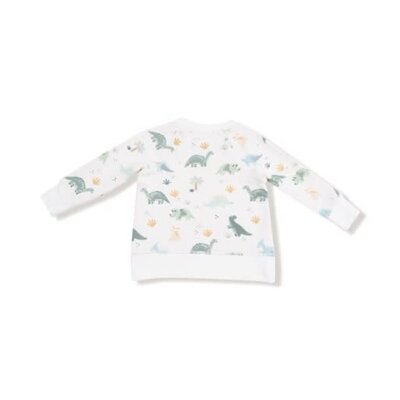Angel Dear Soft Dinos French Terry Green Raglan Sweatshirt/Jogger Set