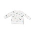 Angel Dear Soft Dinos French Terry Green Raglan Sweatshirt/Jogger Set