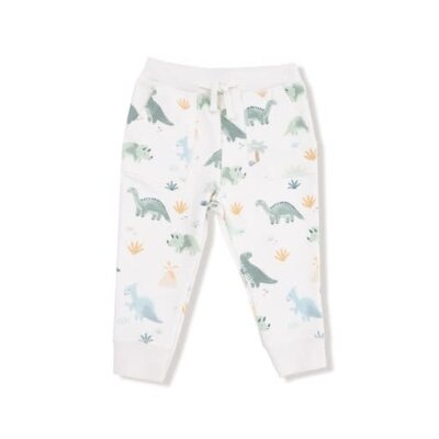 Angel Dear Soft Dinos French Terry Green Raglan Sweatshirt/Jogger Set