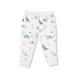 Angel Dear Soft Dinos French Terry Green Raglan Sweatshirt/Jogger Set