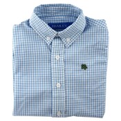 J Bailey Lt. Blue Check Button Down