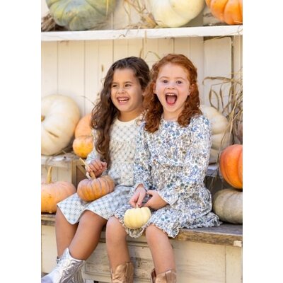 Mabel and Honey | Isobella and Chloe Blue Brooklyn Floral Dress