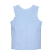 Remember Nguyen Blue Hayes Shortall