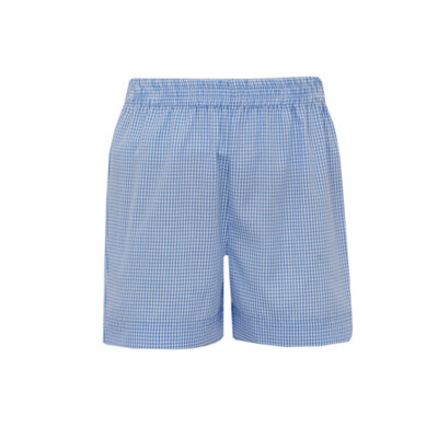Anavini *PRE-ORDER*Flags Periwinkle Blue Gingham Boy's Short Set