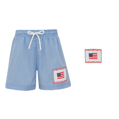 Anavini *PRE-ORDER*Flags Periwinkle Blue Gingham Boy's Swim Trunks