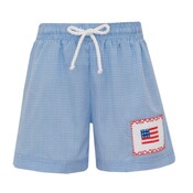 Anavini Flags Periwinkle Blue Gingham Boy's Swim Trunks