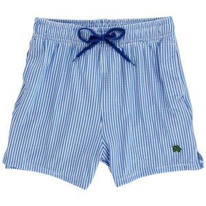 J Bailey *PRE-ORDER*Blue Stripe Seersucker Board Short