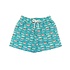 Saltwater Boys Company *PRE-ORDER*Aqua Fish Saint Simons Swim Trunks