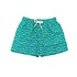 Saltwater Boys Company *PRE-ORDER*Green Shark Saint Simons Swim Trunk
