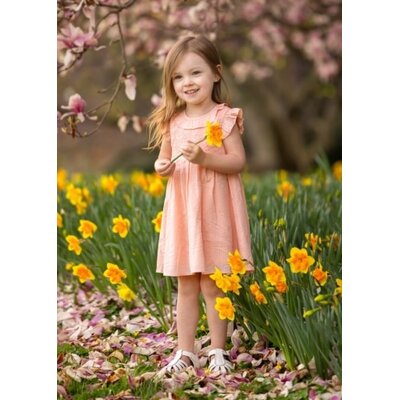 Jane Smocked Ruffle Dress Pink