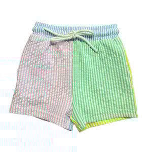 Lulu Bebe Roy Multie Boy Swim Trunk with Liner