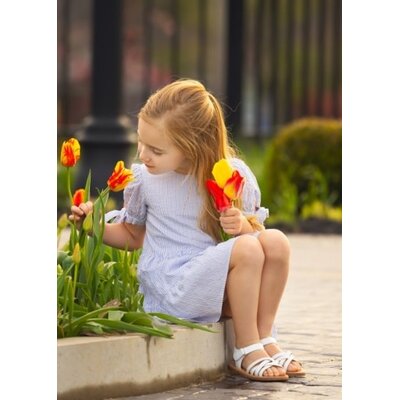 Darling Bluebell Dress