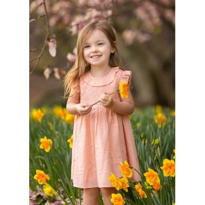 Jane Smocked Ruffle Dress Pink