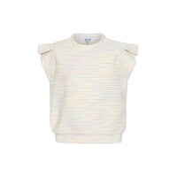 Pleat Collection Olivia Top Rainbow Knit