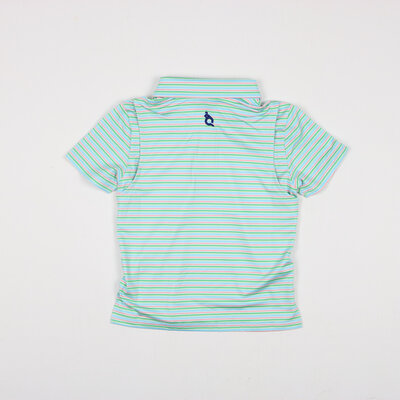 BlueQuail Clothing Co. Sherbert Stripe Polo SS Shirt