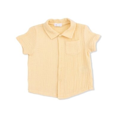 Angel Dear Micro Gingham Blue Blizzard - Polo Button Up with Casual Short