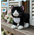 Webkinz Webkinz 8.5" Black and White Cat