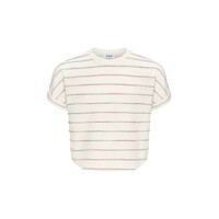 Pleat Collection Fran Top Green/Pink Stripe