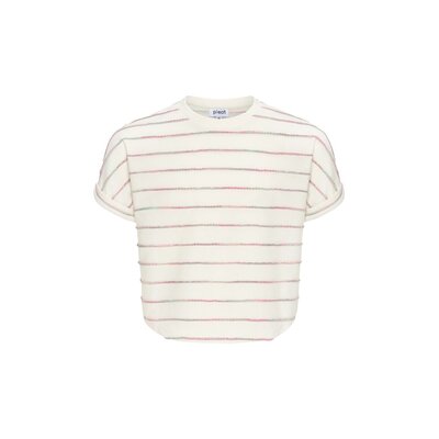 Pleat Collection Fran Top Green/Pink Stripe