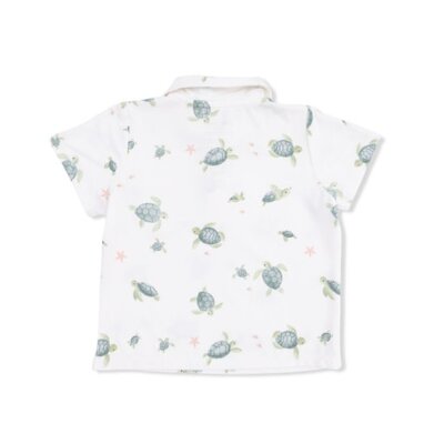 Angel Dear Sea Turtles - Polo with Casual Short