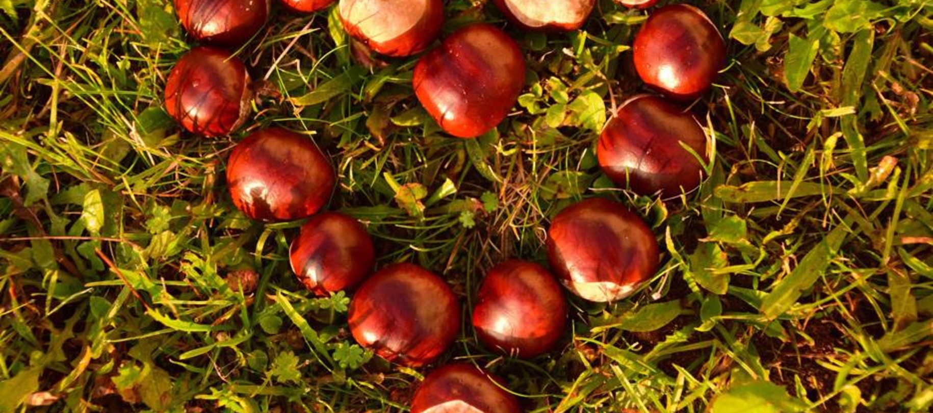 Greeting Cards | Post Cards